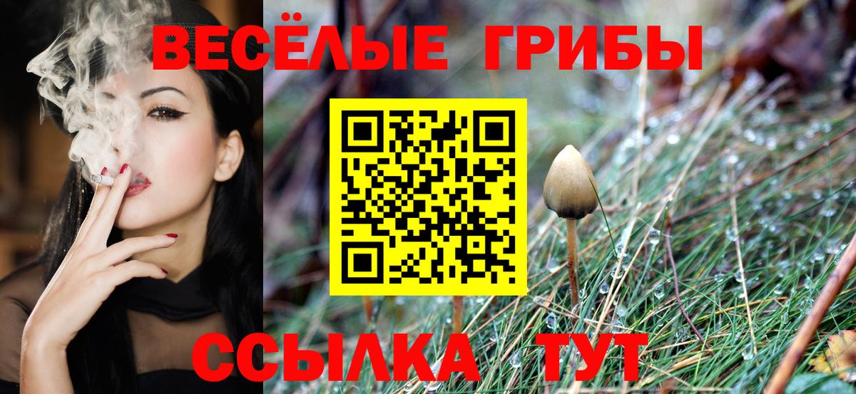 Галлюциногенные грибы Cubensis Рубцовск